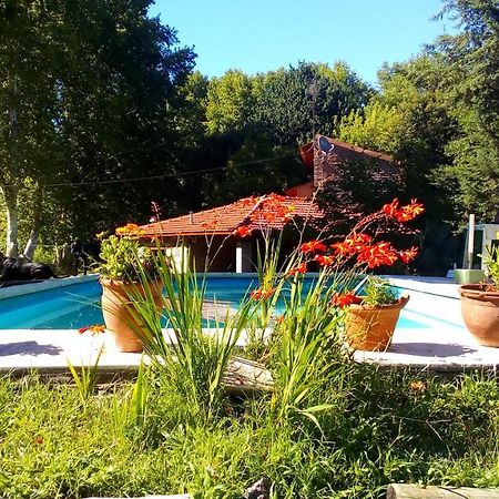 Cabanas Los Platanos La Granja Exterior photo