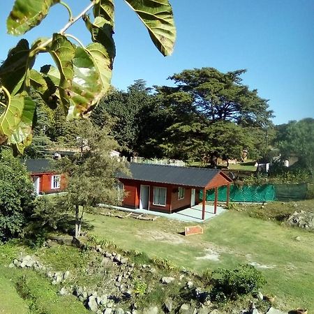 Cabanas Los Platanos La Granja Exterior photo