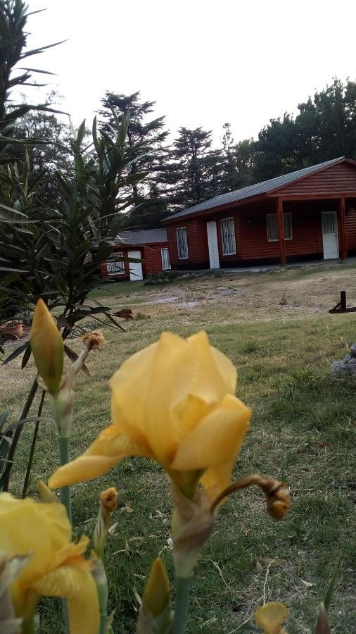 Cabanas Los Platanos La Granja Exterior photo