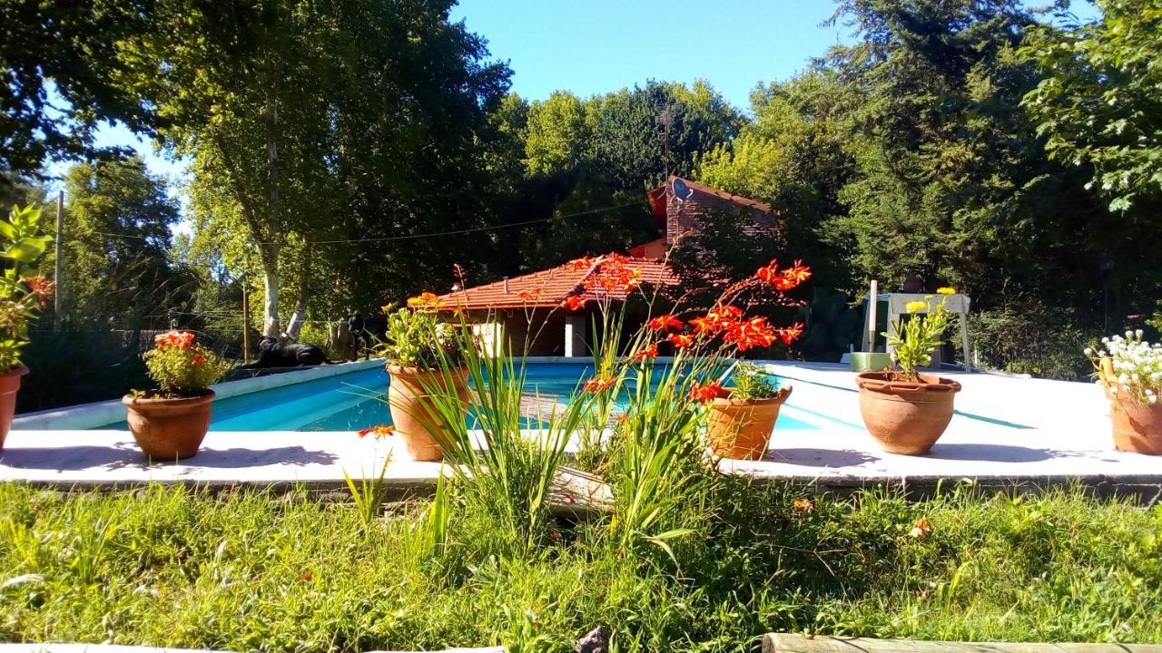 Cabanas Los Platanos La Granja Exterior photo