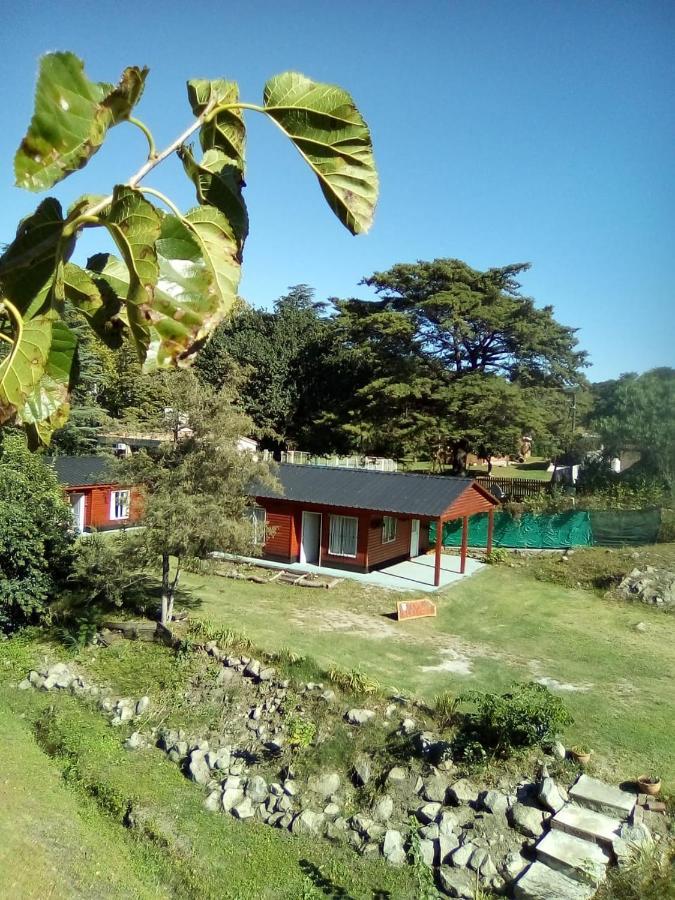 Cabanas Los Platanos La Granja Exterior photo